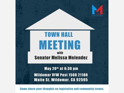Town Hall Meeting With Senator Melissa Melendez