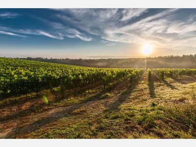 Clear Skies Forecast For Mother's Day In Temecula