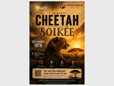 Third Annual Cheetah Soiree
